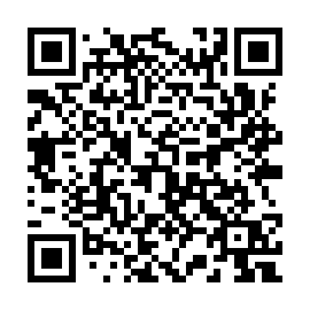 QR code for plate 229 YSQ