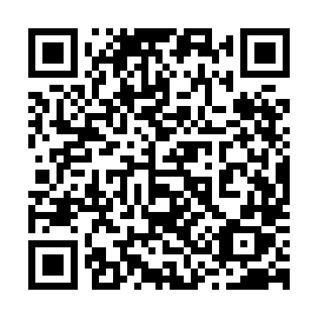QR code for plate 231 XLX