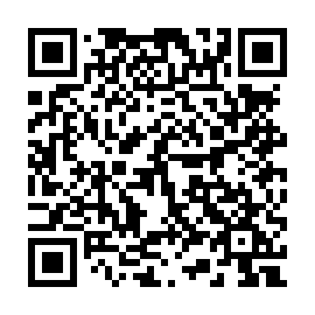 QR code for plate 233 LUG