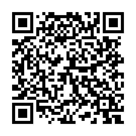 QR code for plate 233 MZX