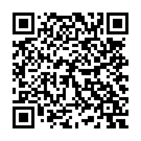QR code for plate 234 LRW