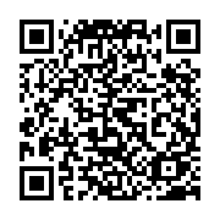 QR code for plate 238 AIU