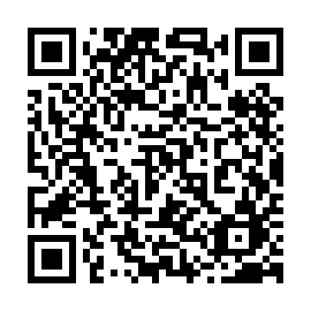 QR code for plate 243 PAB
