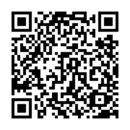 QR code for plate 243 WNY