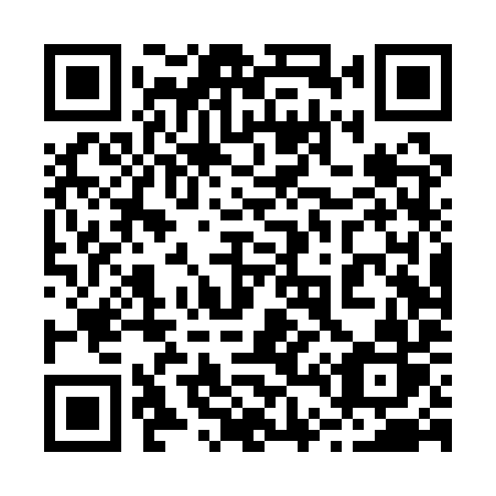QR code for 244 QYR