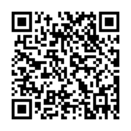 QR code for 246PKA