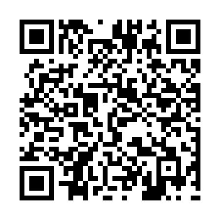 QR code for 246SIA