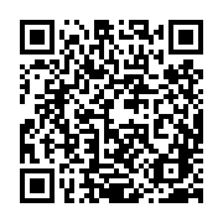 QR code for 250TTC