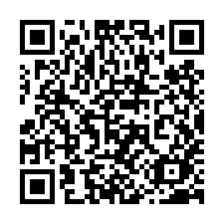 QR code for 253 TXM