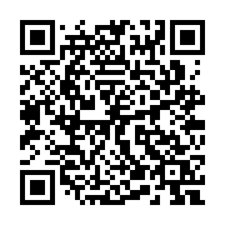QR code for 253SGS