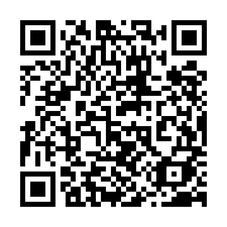 QR code for plate 255 UMI
