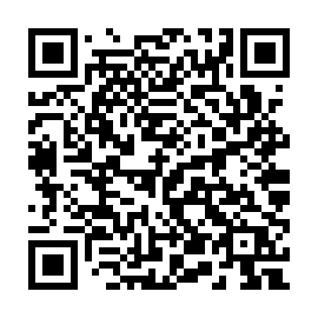 QR code for 256 QPP