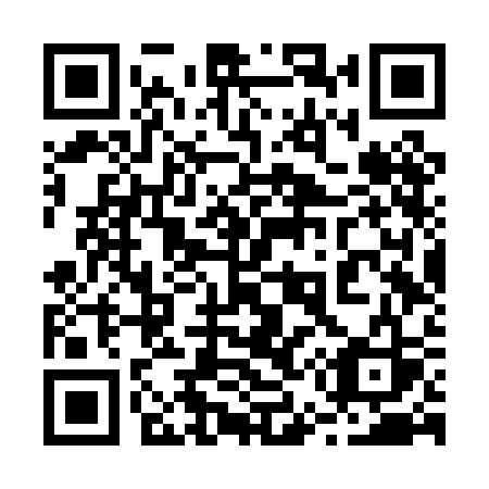 QR code for plate 256 PCS