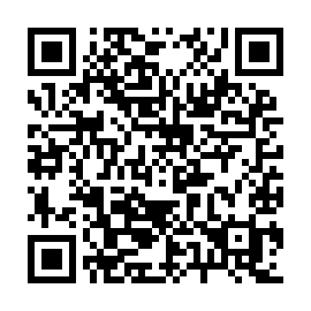 QR code for plate 256 YII
