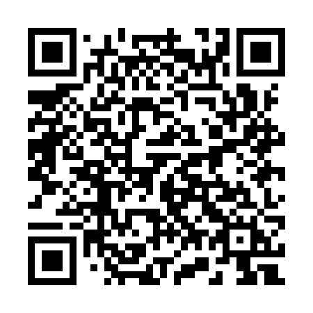 QR code for 271 IZH