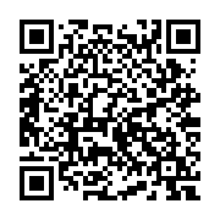 QR code for 272 RAU