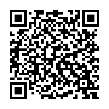 QR code for plate 272 HWO