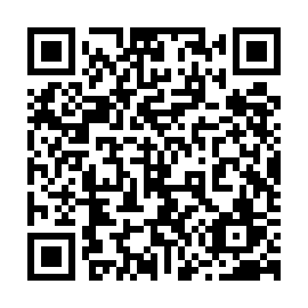 QR code for plate 272 UCV
