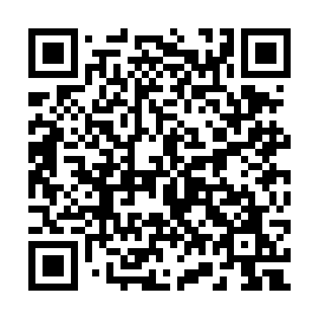 QR code for 273 DGO