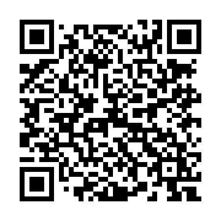 QR code for plate 281 LFZ