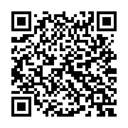 QR code for plate 282 WPL