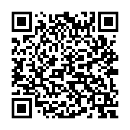 QR code for 289 QYR