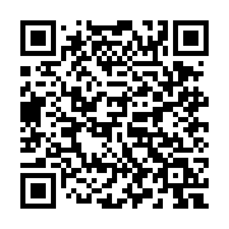 QR code for 290 DGL