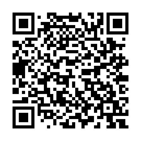 QR code for 290 PKW