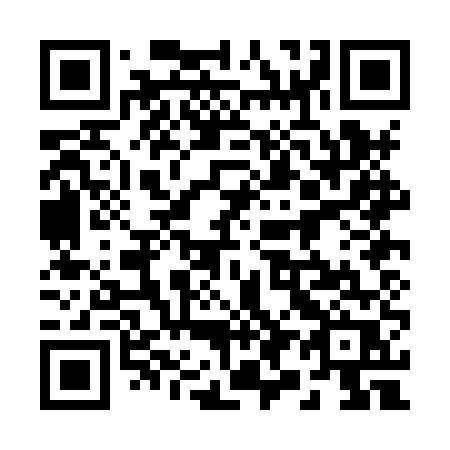 QR code for 290HUR