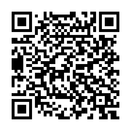 QR code for plate 290 MTP