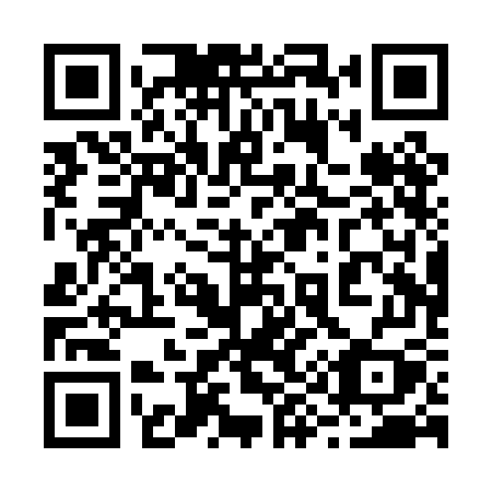 QR code for 290PGY