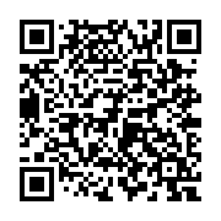 QR code for plate 290 PIV