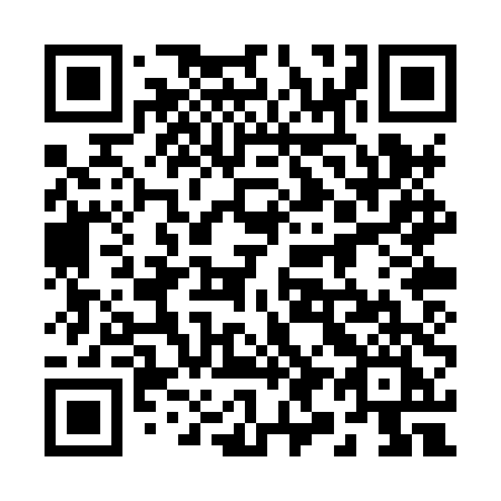 QR code for plate 290 XTI