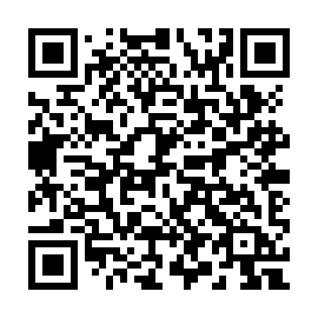 QR code for plate 290 ZIB