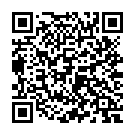QR code for plate 290 ZZB