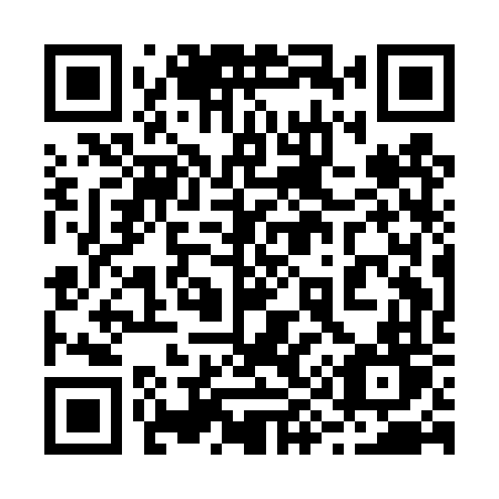 QR code for 291 DVT
