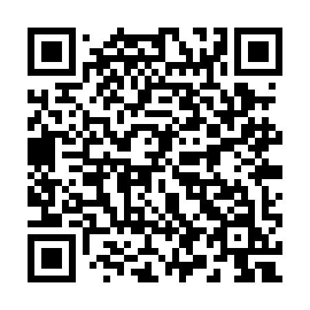 QR code for 291 PIN