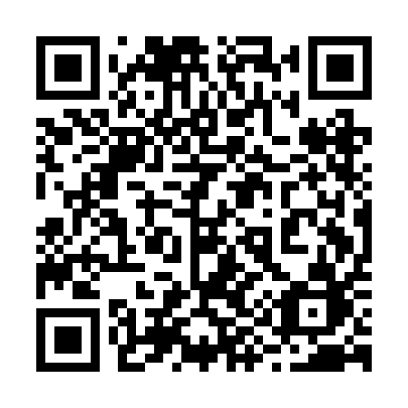 QR code for plate 291 BAB