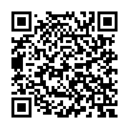 QR code for plate 291 MLK