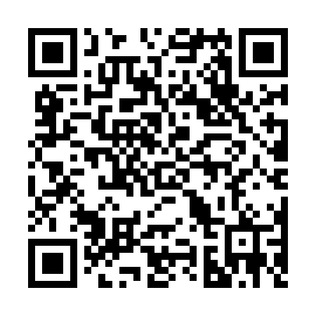 QR code for plate 291 MNP