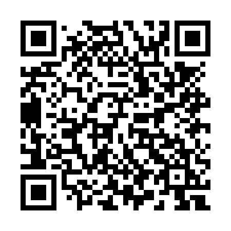 QR code for plate 291 NUK