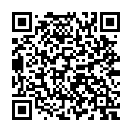 QR code for 291PRJ