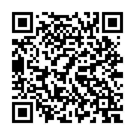 QR code for plate 291 RRZ
