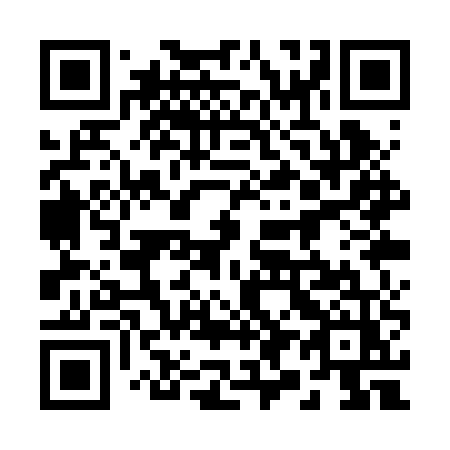 QR code for plate 291 RUZ