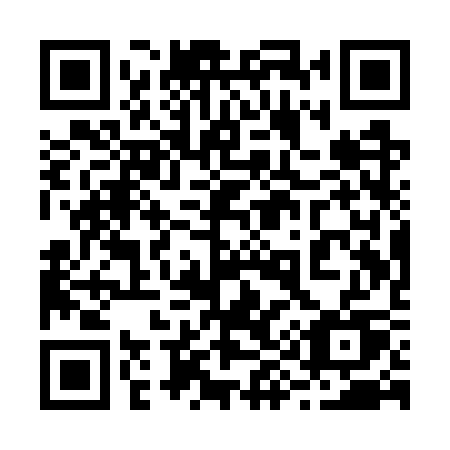 QR code for plate 291 WSU