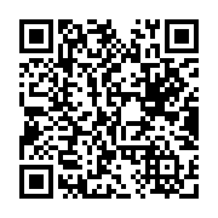 QR code for plate 291 YNT