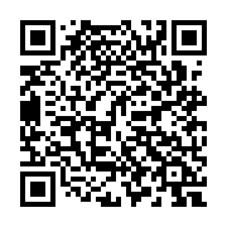 QR code for plate 293 AMF