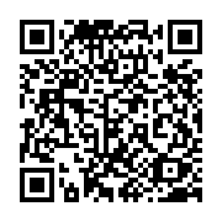 QR code for plate 293 MEY
