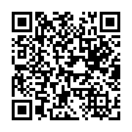 QR code for plate 293 SCX
