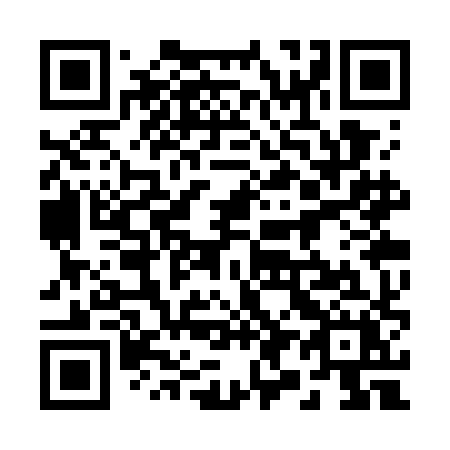 QR code for plate 293 WHX